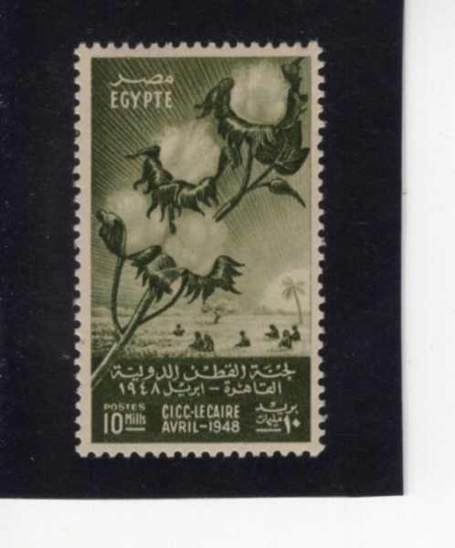 EGYPT(����Ʈ)-#270-10m-FIELD AND BRANCH OF COTTON(��ȭ ���)-1948.4.1��