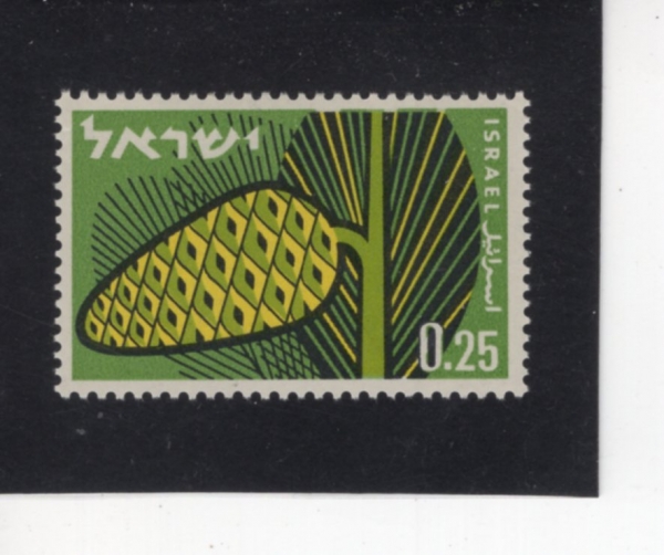 ISRAEL(�̽���)-#212-25a-PINE CONE(�ֹ��)-1961.12.26��